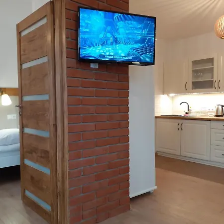 Nad Jeziorem Apartment Miedzybrodzie Zywieckie